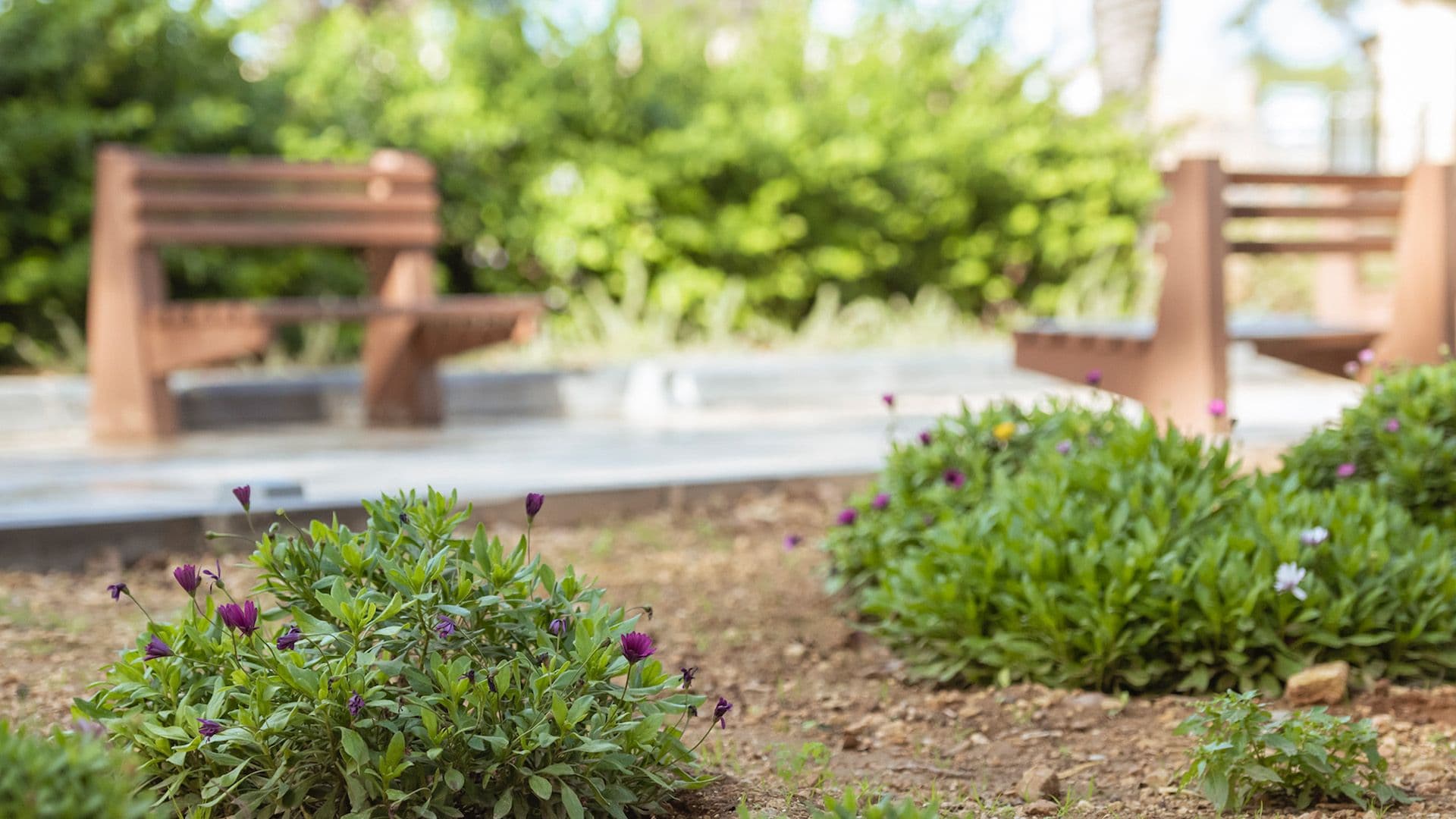 Local Parks Spotlight: Ġnien Il-Mall, Floriana