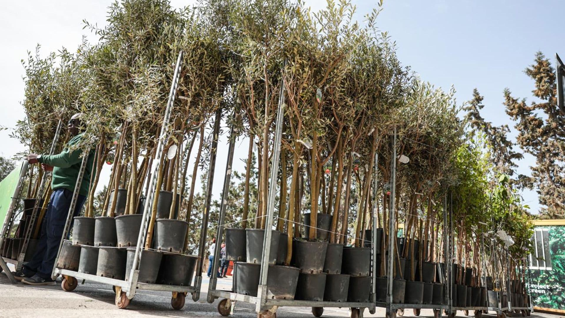 Tree Distribution To First Beneficiaries Of Tree-Planting Initiative