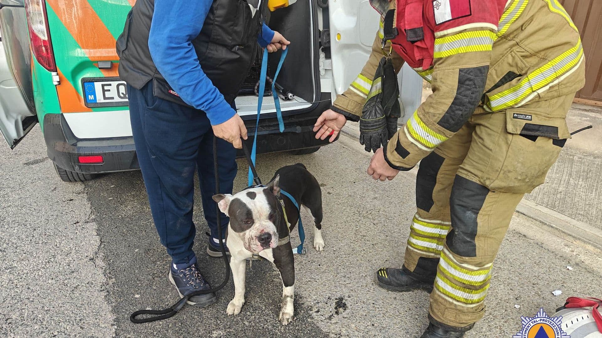 CPD Rescue Dog Trapped Under Parked Vehicle
