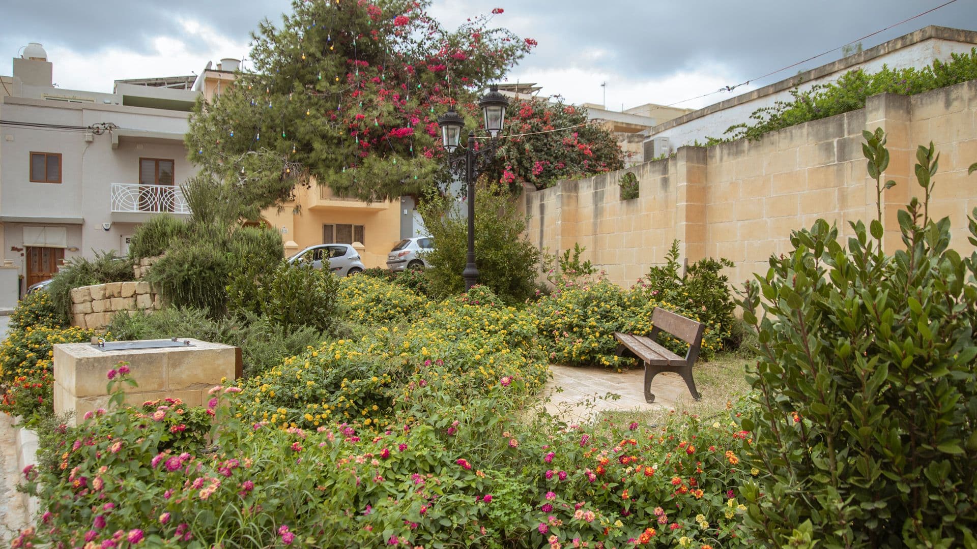 Local Parks Spotlight: Ġnien Hibiscus, San Ġwann