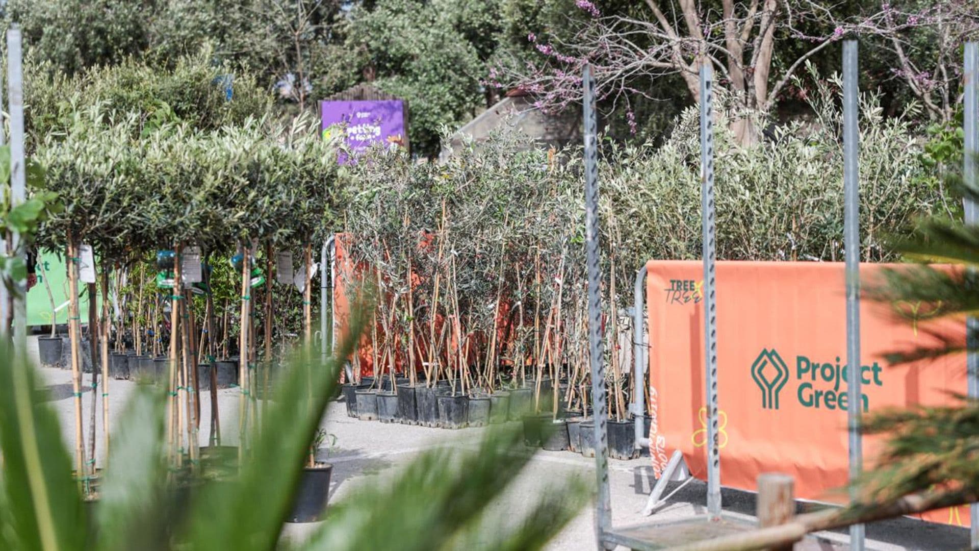 Tree Distribution To First Beneficiaries Of Tree-Planting Initiative